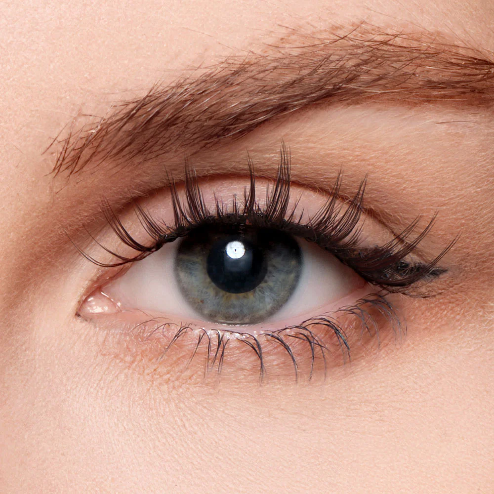 Disney Zootopia Collection